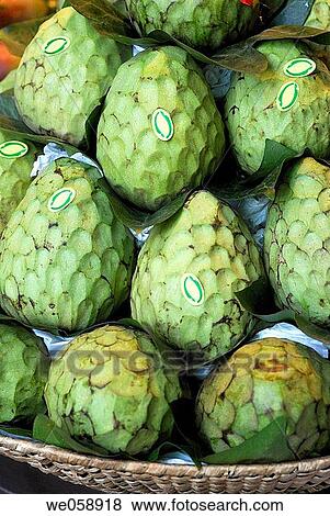 Custard apples at La Boqueria market, Barcelona. Catalonia, Spain View Large Photo Image Stock Photo - Custard apples at La Boqueria market, Barcelona. Catalonia, Spain. Fotosearch