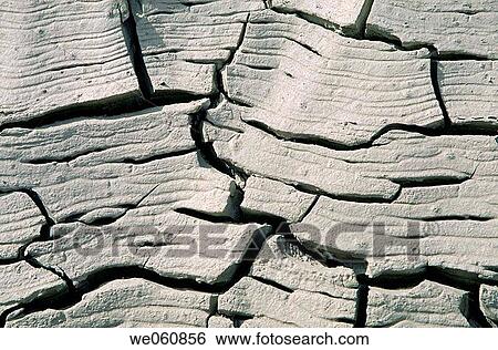 Dried and cracked silt View Large Photo Image Stock Photograph - Dried and cracked silt. Fotosearch