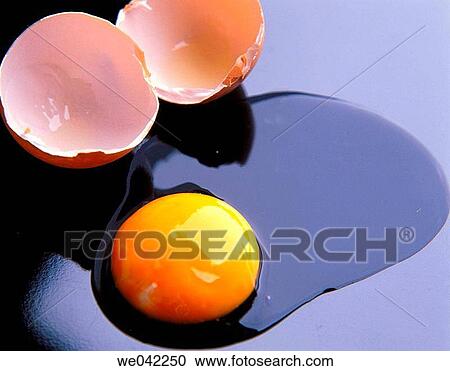 Egg View Large Photo Image Stock Image - Egg. Fotosearch