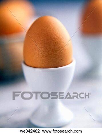 Egg View Large Photo Image Stock Image - Egg. Fotosearch