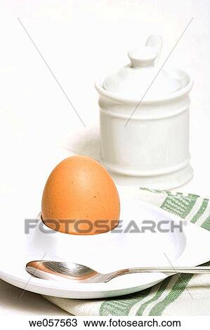 Egg View Large Photo Image Stock Image - Egg. Fotosearch
