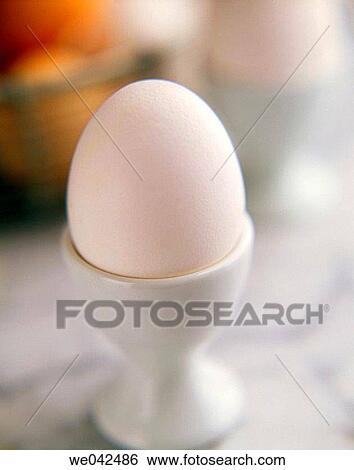 Egg View Large Photo Image Stock Photograph - Egg. Fotosearch