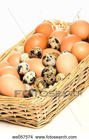 Eggs View Large Photo Image Picture - Eggs. Fotosearch