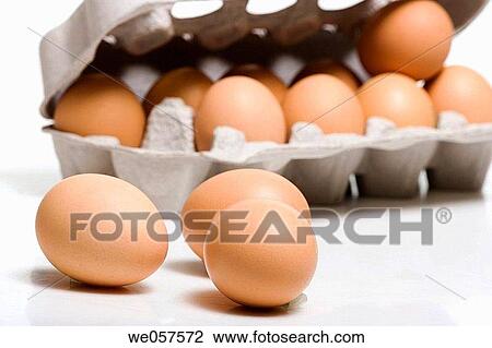 Eggs View Large Photo Image Stock Image - Eggs. Fotosearch