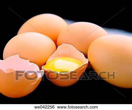 Eggs View Large Photo Image Stock Photograph - Eggs. Fotosearch
