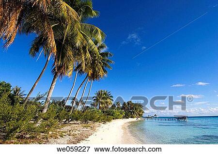 Fakarawa, Tuamotu Archipelago, French Polynesia. View Large Photo Image Stock Photo - Fakarawa, Tuamotu Archipelago, French Polynesia.. Fotosearch