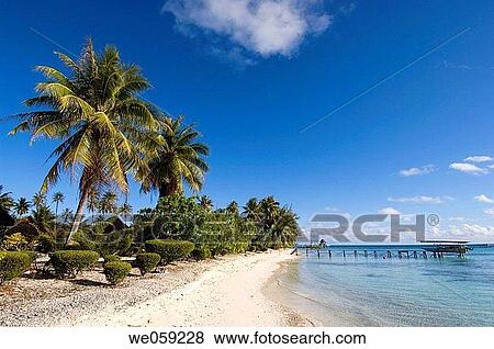 Fakarawa, Tuamotu Archipelago, French Polynesia. View Large Photo Image Stock Photo - Fakarawa, Tuamotu Archipelago, French Polynesia.. Fotosearch