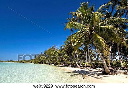 Fakarawa, Tuamotu Archipelago, French Polynesia. View Large Photo Image Stock Photo - Fakarawa, Tuamotu Archipelago, French Polynesia.. Fotosearch