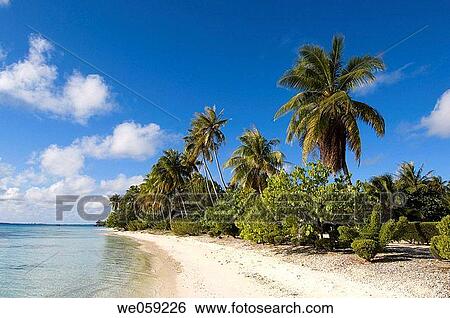 Fakarawa, Tuamotu Archipelago, French Polynesia. View Large Photo Image Stock Photograph - Fakarawa, Tuamotu Archipelago, French Polynesia.. Fotosearch