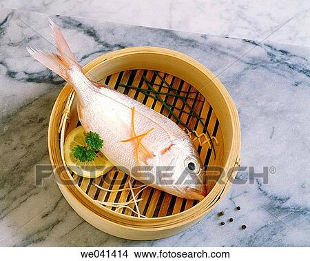 Fish View Large Photo Image Picture - Fish. Fotosearch