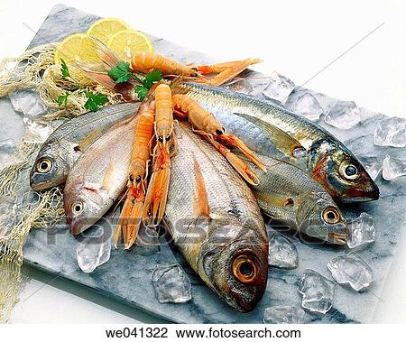 Fish View Large Photo Image Stock Image - Fish. Fotosearch