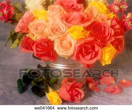 Flowers View Large Photo Image Picture - Flowers. Fotosearch