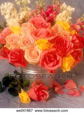 Flowers View Large Photo Image Stock Photo - Flowers. Fotosearch