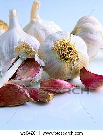 Garlic View Large Photo Image Stock Image - Garlic. Fotosearch
