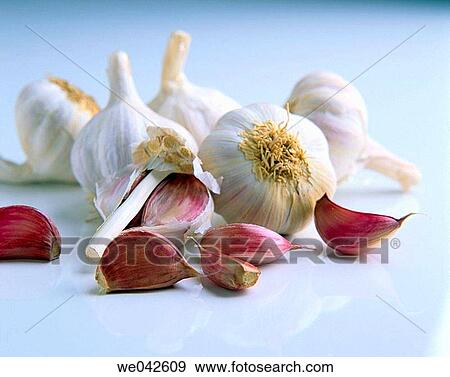 Garlic View Large Photo Image Stock Photo - Garlic. Fotosearch