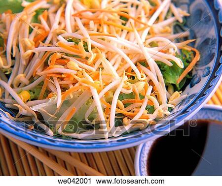 Germinated soy salad View Large Photo Image Stock Image - Germinated soy salad. Fotosearch