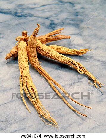 Picture - Ginseng. Fotosearch