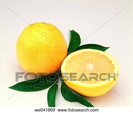 Grapefruit View Large Photo Image Stock Photo - Grapefruit. Fotosearch