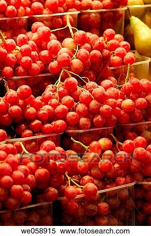 Grapes at La Boqueria market, Barcelona. Catalonia, Spain View Large Photo Image Stock Photography - Grapes at La Boqueria market, Barcelona. Catalonia, Spain. Fotosearch