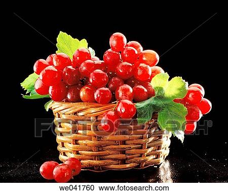 Grapes View Large Photo Image Stock Image - Grapes. Fotosearch
