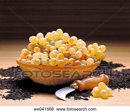 Grapes View Large Photo Image Stock Photo - Grapes. Fotosearch