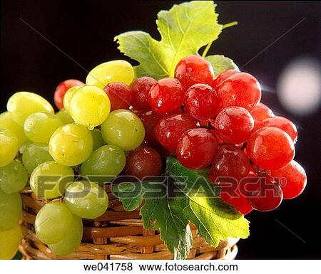 Grapes View Large Photo Image Stock Photo - Grapes. Fotosearch