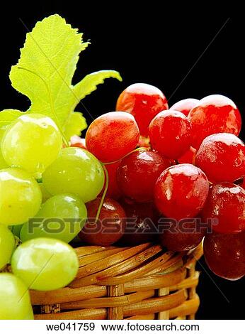 Grapes View Large Photo Image Stock Photo - Grapes. Fotosearch