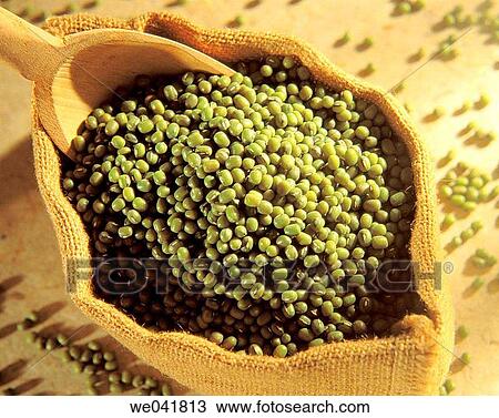 Green soybeans View Large Photo Image Stock Image - Green soybeans. Fotosearch