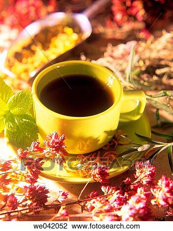 Herbal tea View Large Photo Image Stock Image - Herbal tea. Fotosearch