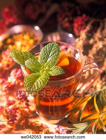 Herbal tea View Large Photo Image Stock Image - Herbal tea. Fotosearch