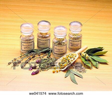 Herbalist? s View Large Photo Image Picture - Herbalist? s. Fotosearch
