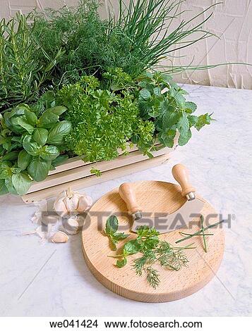 Herbs and spices View Large Photo Image Picture - Herbs and spices. Fotosearch