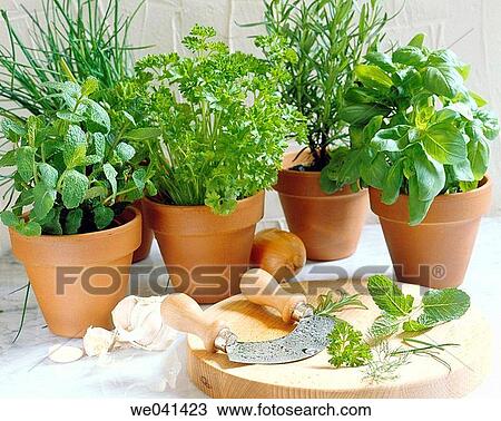 Herbs and spices View Large Photo Image Stock Image - Herbs and spices. Fotosearch
