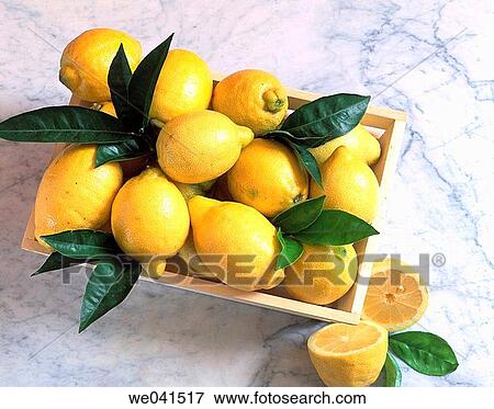 Lemons View Large Photo Image Stock Photo - Lemons. Fotosearch