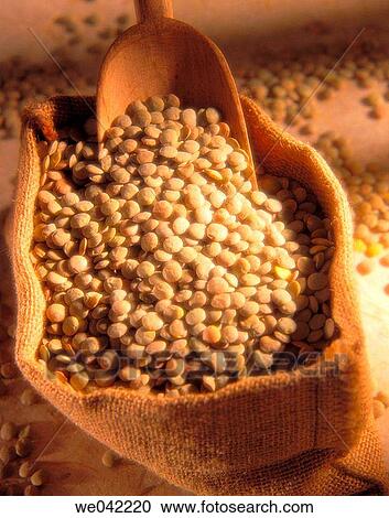 Lentils View Large Photo Image Stock Image - Lentils. Fotosearch