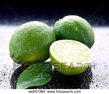 Limes View Large Photo Image Picture - Limes. Fotosearch