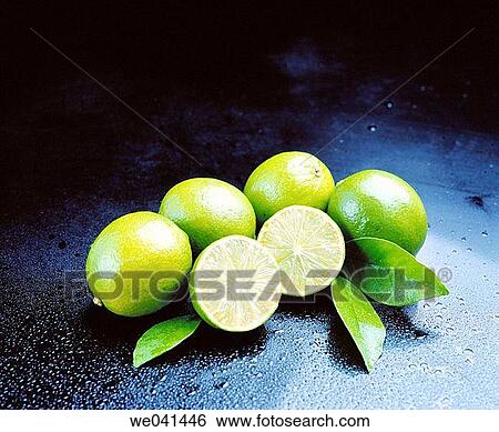 Limes View Large Photo Image Stock Photograph - Limes. Fotosearch
