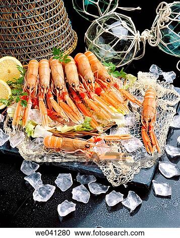 Lobsters View Large Photo Image Stock Image - Lobsters. Fotosearch
