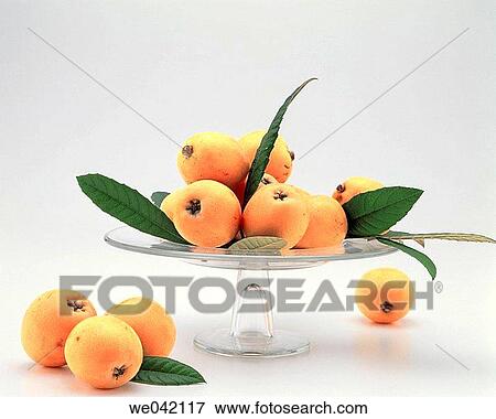 Medlars View Large Photo Image Stock Photo - Medlars. Fotosearch