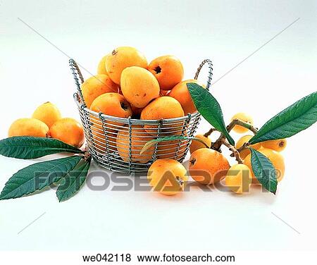 Medlars View Large Photo Image Stock Photo - Medlars. Fotosearch