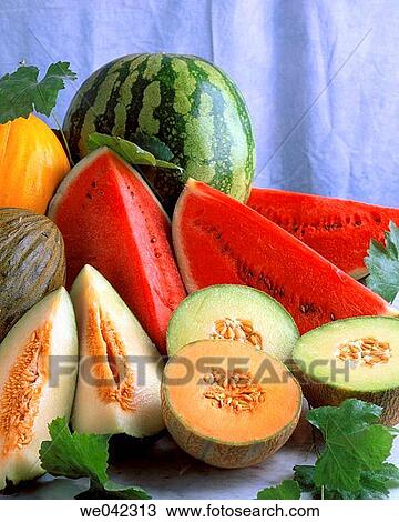 Melons and watermelons View Large Photo Image Stock Image - Melons and watermelons. Fotosearch