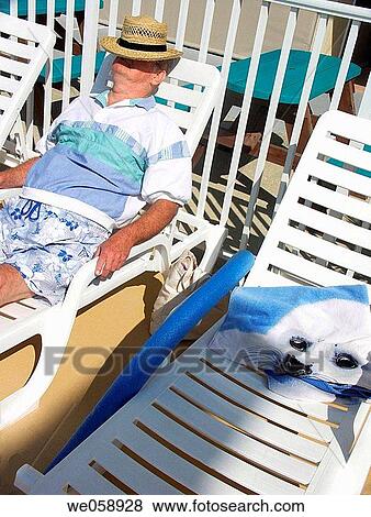 Middle Aged Man Taking Nap on Lounge in the Sun View Large Photo Image Stock Photo - Middle Aged Man Taking Nap on Lounge in the Sun. Fotosearch