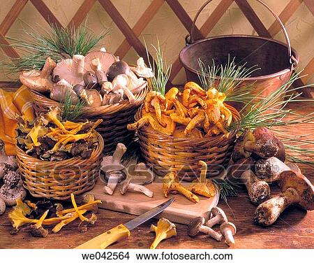 Mushrooms View Large Photo Image Picture - Mushrooms. Fotosearch