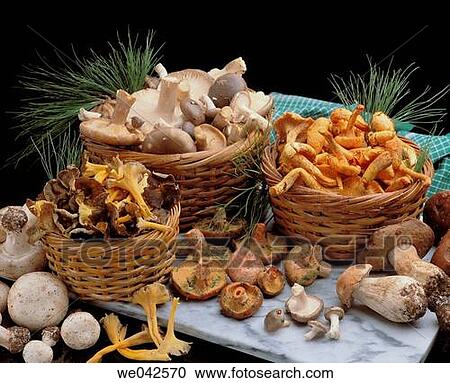 Mushrooms View Large Photo Image Stock Image - Mushrooms. Fotosearch