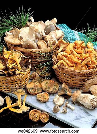 Mushrooms View Large Photo Image Stock Photo - Mushrooms. Fotosearch