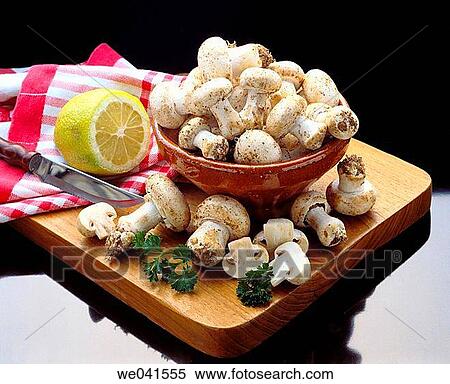 Mushrooms View Large Photo Image Stock Photography - Mushrooms. Fotosearch