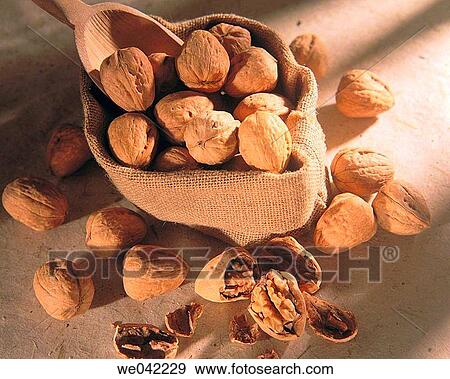 Nuts View Large Photo Image Stock Photo - Nuts. Fotosearch