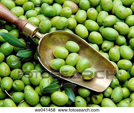 Stock Photo - Olives. Fotosearch