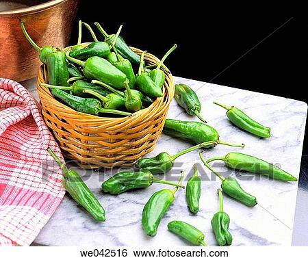 Padron small green peppers, Galician cuisine View Large Photo Image Stock Photograph - Padron small green peppers, Galician cuisine. Fotosearch