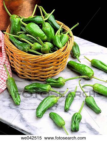 Padron small green peppers, Galician cuisine View Large Photo Image Stock Photography - Padron small green peppers, Galician cuisine. Fotosearch